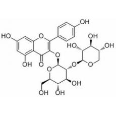 山奈酚3-O-桑布雙糖苷