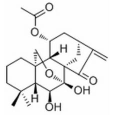 長(zhǎng)管貝殼杉素 E