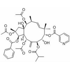 2,5,14-三乙酰氧基-3-苯甲?；趸?8,15-二羥基-7-異丁酰氧基-9-煙酰氧基氧基-6(17),11E-麻風樹屬二烯